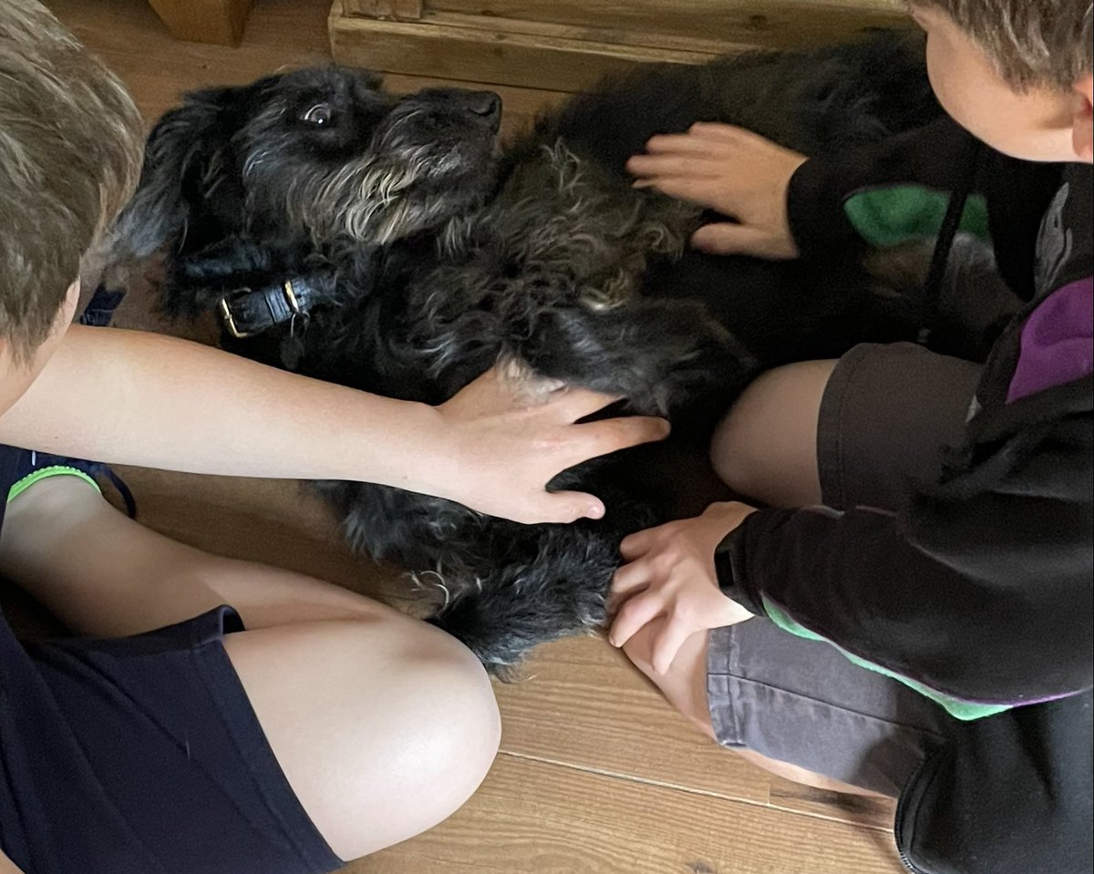 Happy 3rd Birthday! #goodgirl