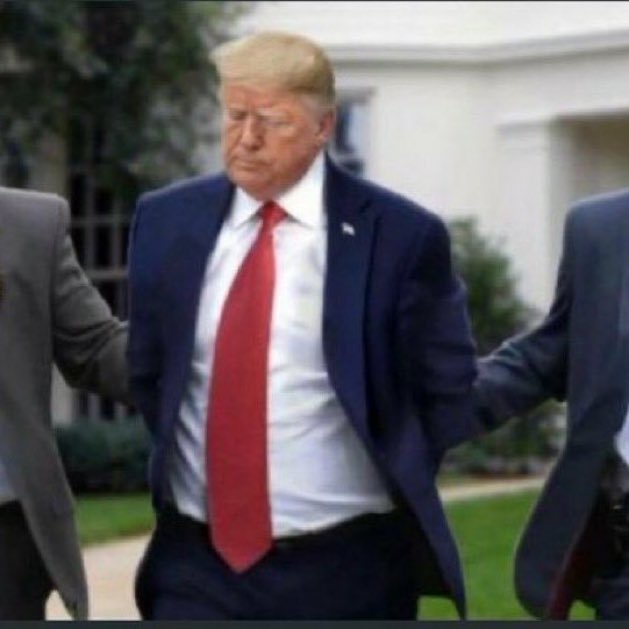 This is the only way to Stop the Steal!