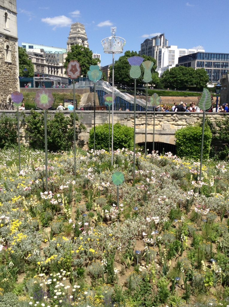 bonnin_mrs's tweet photo. A fantastic day with Gardening Club at the Tower of London Superbloom. Our jubilee garden will look just like that this! https://t.co/w7IuE00h5k
