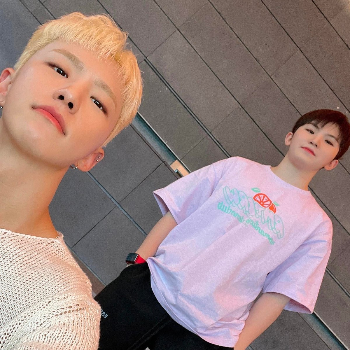 #호시_생일초에_불붙여라_아주뜨겁게
#HorangiPowerHoshiDay <a href="/pledis_17/">세븐틴(SEVENTEEN)</a>