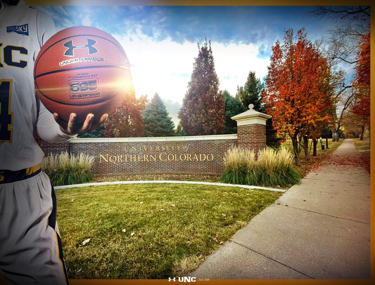 Kristen Mattio Basketball Camps tweet media