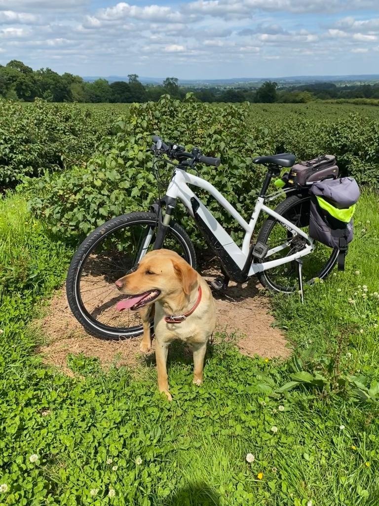 Emily inspecting this year's crop.  The bike isn't hers 😉