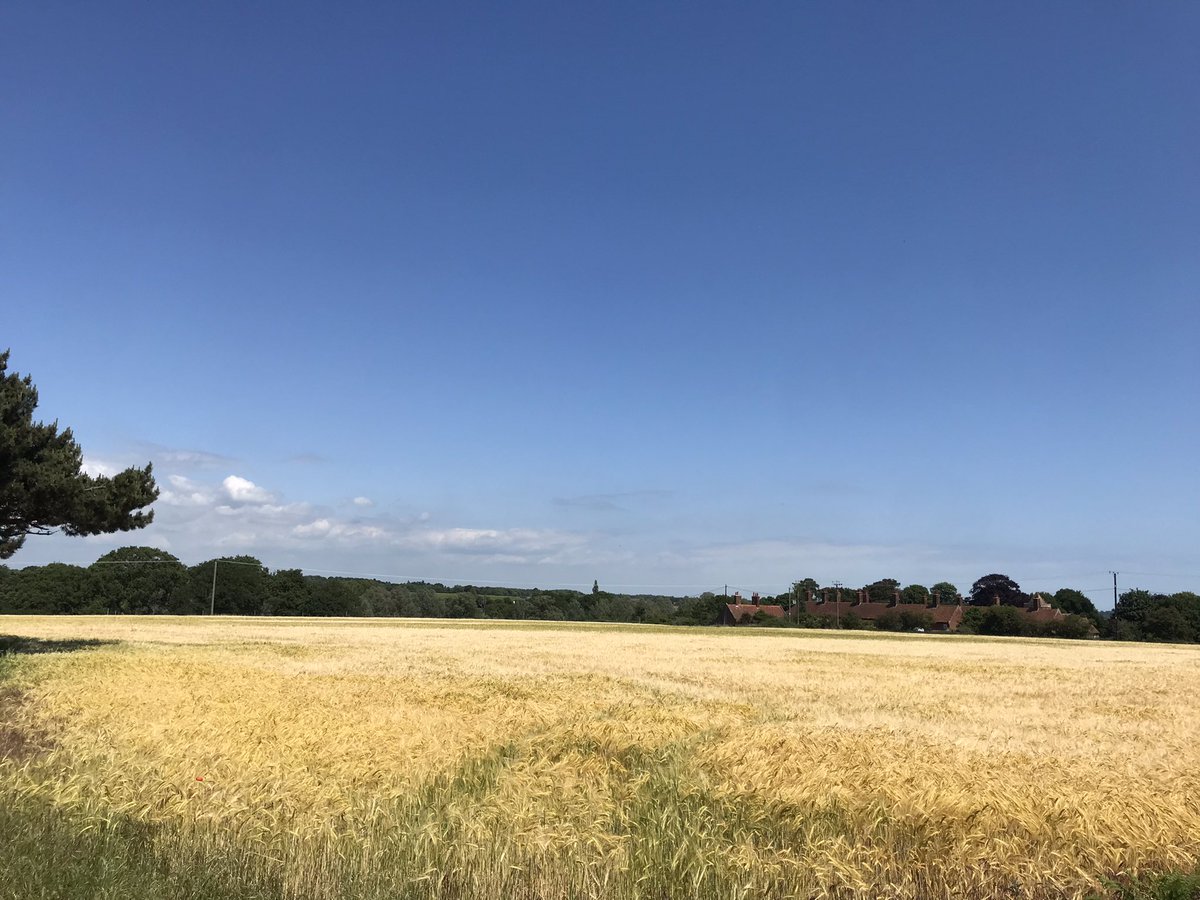 Capel St Andrew Farm (@capelstandrewfm) on Twitter photo 