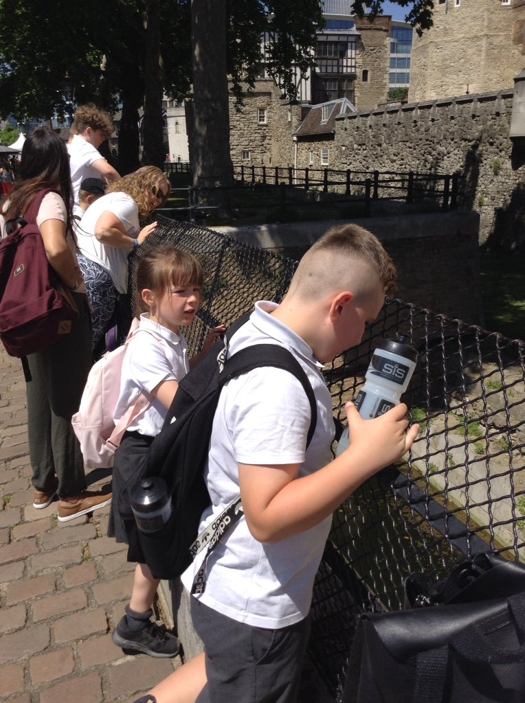 bonnin_mrs's tweet photo. Sliding into Superbloom at the Tower of London with Gardening Club. https://t.co/7BpaurUaVz