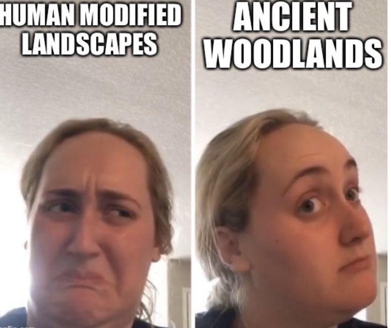 hannahjsellers's tweet image. Great first workshop about science communication by @ElspethSinclair at #ProgPal22. Here is my “Meme your Research”attempt🌳🔬