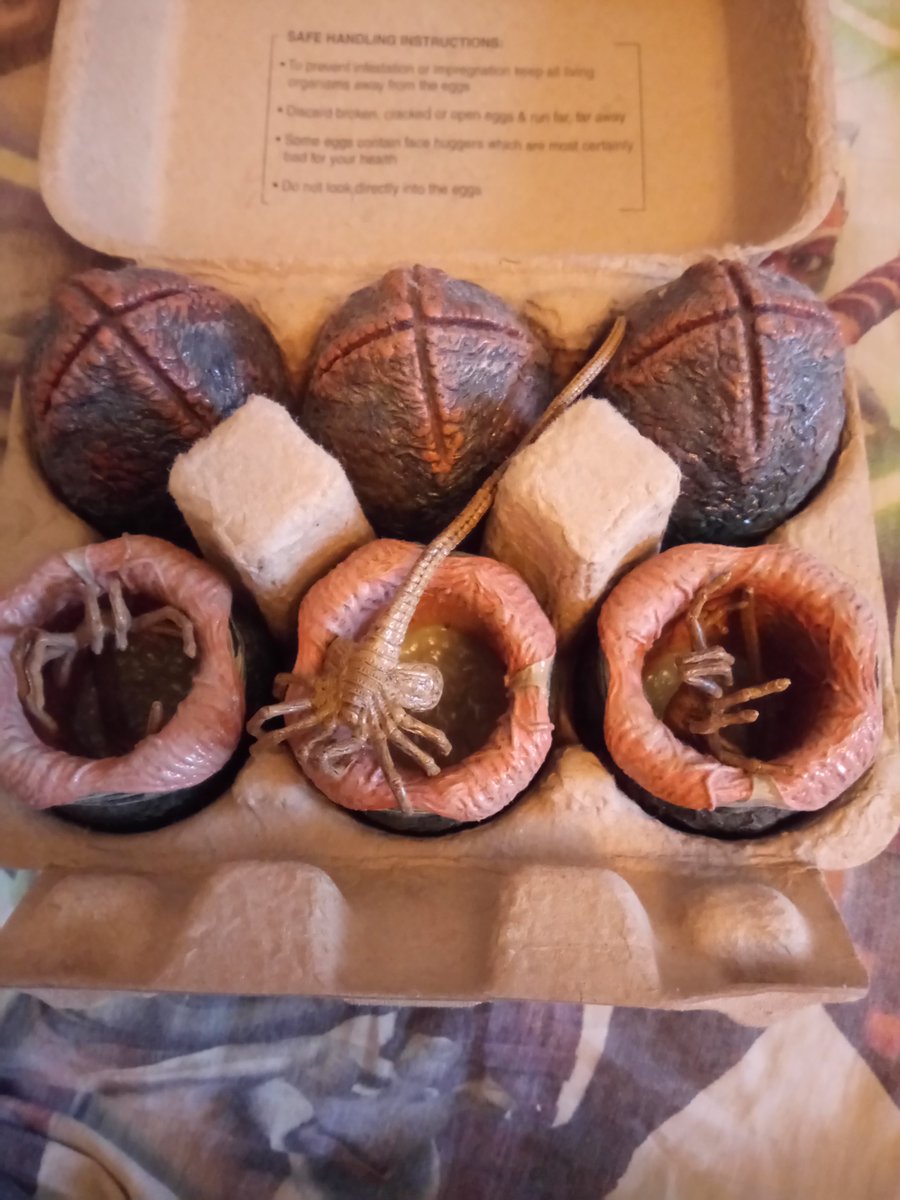DavidCollector's tweet photo. NECA ALIEN EGGS 6 PACK. #neca #necatoys #necaofficial #necafigures #necaalien #necaactionfigures #necacollector #aliens #alien #egg #eggs #geek #geeklife #geeks #geekstuff #geeknation #geekculture #xenomorph #xenomorphs #xenomorphegg #xenomorpheggs https://t.co/V5junOYhoE