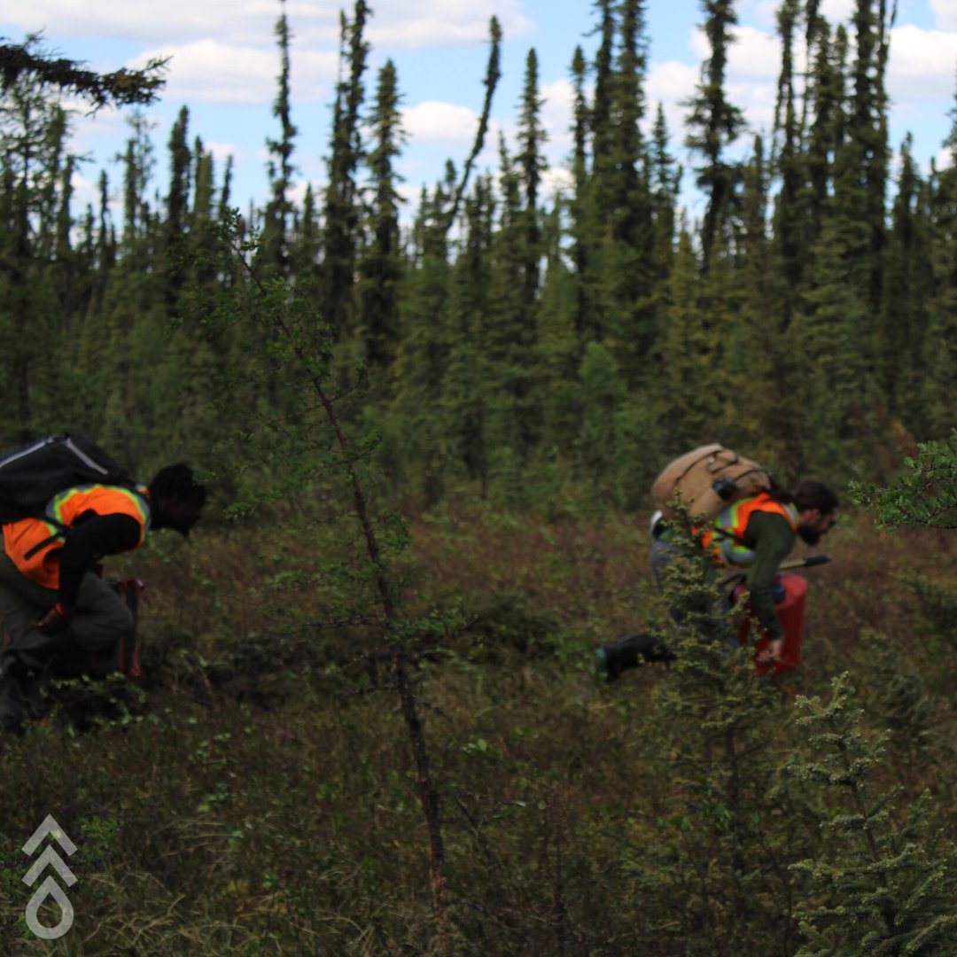 flash_forest's tweet photo. With only a few seedpods left to go in our Spring 2022 Planting Ops, our team is savouring their last few "get to the chopper" moments ππ²
#FlashForest #SpringPlantingOps2022 #Helicopter #Reforestation #Drones #TreePlanting #Alberta #FortMac #ClimateChange #Sustainability https://t.co/LpZOyHPu3v