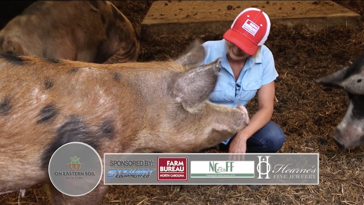 Want a quick tour of the NCAT University Farm? Check out  @WNCT's On Eastern Soil with Emily as Emily Wagner gets up close with our livestock, views garden plots and experimental fields, and more! 
bit.ly/3xNH1Qf

@oneasternsoil <a href="/ncatcaes/">N.C. A&T CAES</a>