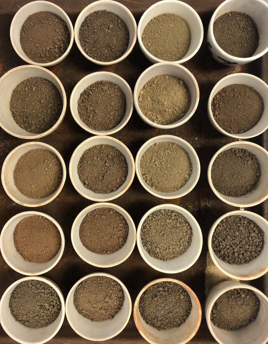 meg_winstone's tweet photo. Some soil rainbows for pride month 🌈 #Pride https://t.co/UphSqy3mWN