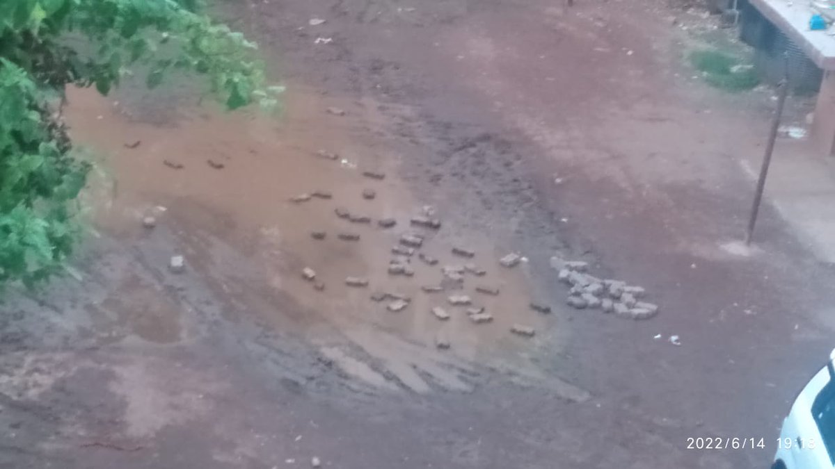 Omkarverse's tweet photo. Water logging from 9th June rains in Bandra East. No outlet or pre monsoon work. Every year the same story. Mosquitos, skin infections start to breed. 

Location = B/202 - B/211 Chowk(Opp Cinemax Theatres), Govt Colony.
@mybmcWardHE @mybmc @zeeshan_iyc @bandrabuzz @AUThackeray https://t.co/f9PcL5zInX