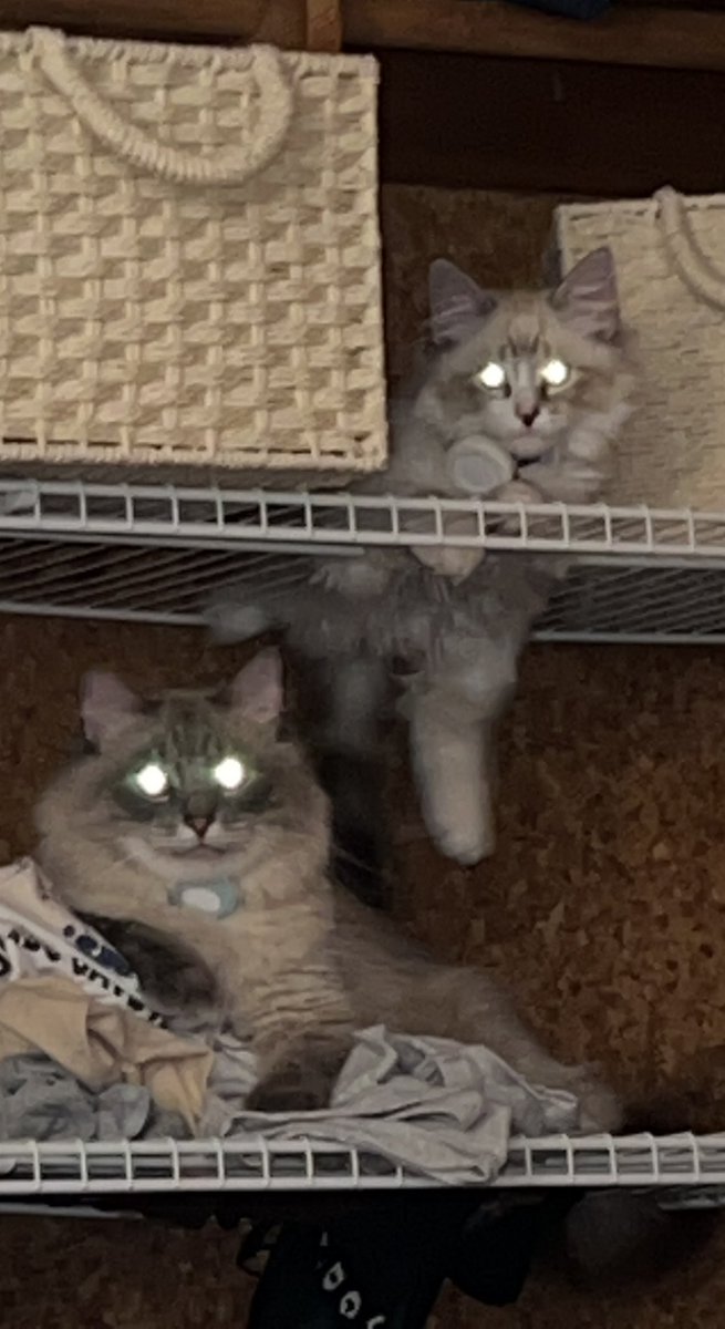 Doing this thing in the closet again