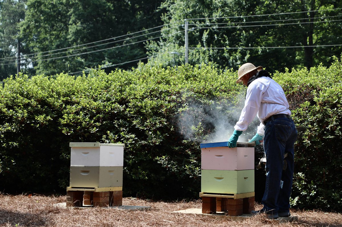 First Lady Marty Kemp tweet media