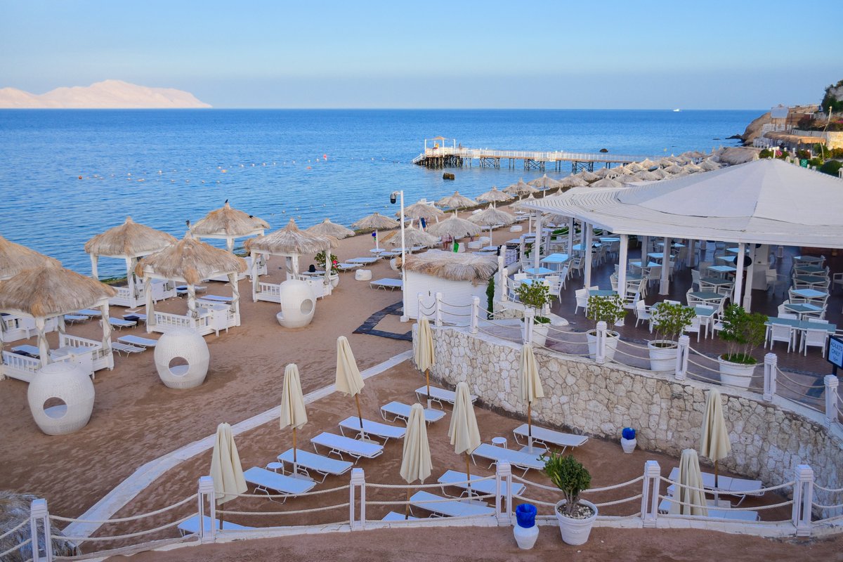 SRArabianBeach's tweet photo. The best path you can take is the path to the beach

Book it now at https://t.co/gU49rtmTFo or call +202 16032

#SUNRISEResortsAndCruises #SUNRISEArabianBeachResort #RedSea #SharmElSheikh #ThisIsEgypt #Egypt #Vacation #Travel https://t.co/RgaDeQuIHk