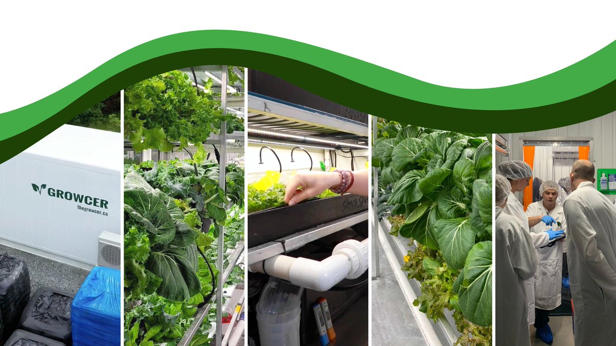 Growcer is growing! Check out open roles in product, R&amp;D, and marketing: hubs.ly/Q01dy8580 

You’re a fit if:
• You want to have a high impact on a growing company
• You’re passionate about food sustainability and a purpose-driven mission

#hiring #jobalert #impactjobs