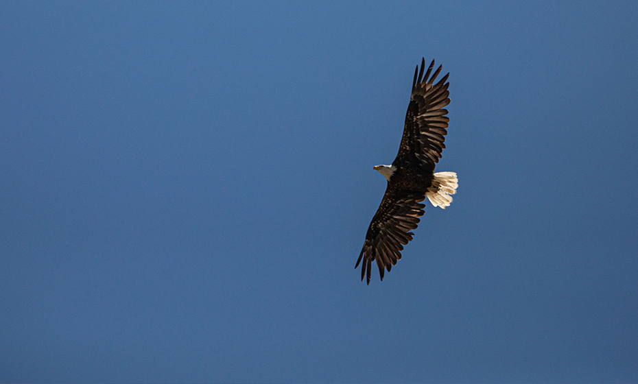 Duke Energy tweet media