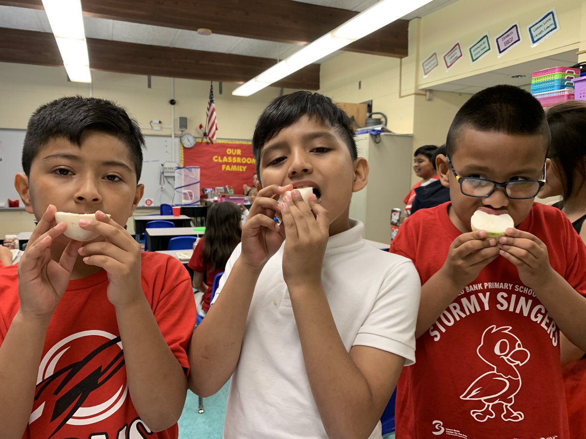 Caroline Dwyer (@dwyer712) on Twitter photo Room 302 loves turnips!! Thanks, <a href="/NurseReardon/">Nurse Reardon</a>, for showing us that we can eat turnips like apples!! <a href="/rbpsEAGLES/">Red Bank Primary</a> @MrsGuzmank Room 302 loves turnips!! Thanks, <a href="/NurseReardon/">Nurse Reardon</a>, for showing us that we can eat turnips like apples!! <a href="/rbpsEAGLES/">Red Bank Primary</a> @MrsGuzmank