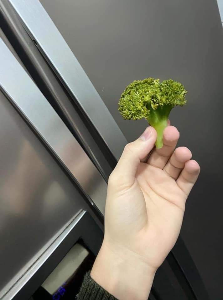 Todos te odian, pero yo te amo ❤️🥦🥦