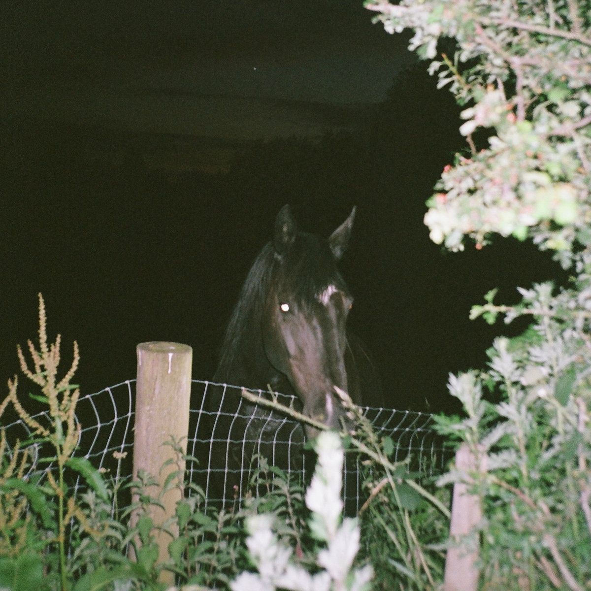 NOCTURNE 🌙 

New LP from <a href="/ensemblepsych/">psychedelic ensemble.</a> + @_____N0IR 

Out now via Bandcamp → liveattheclinic.bandcamp.com/album/nocturne