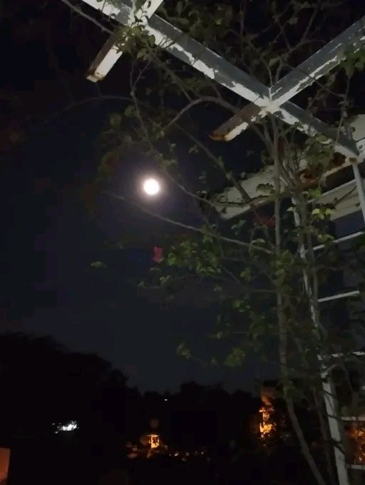 Cielo_Yellow's tweet photo. Oh wow!
#StawberrySupermoon #Supermoon2022 https://t.co/lJEyhhIDJp