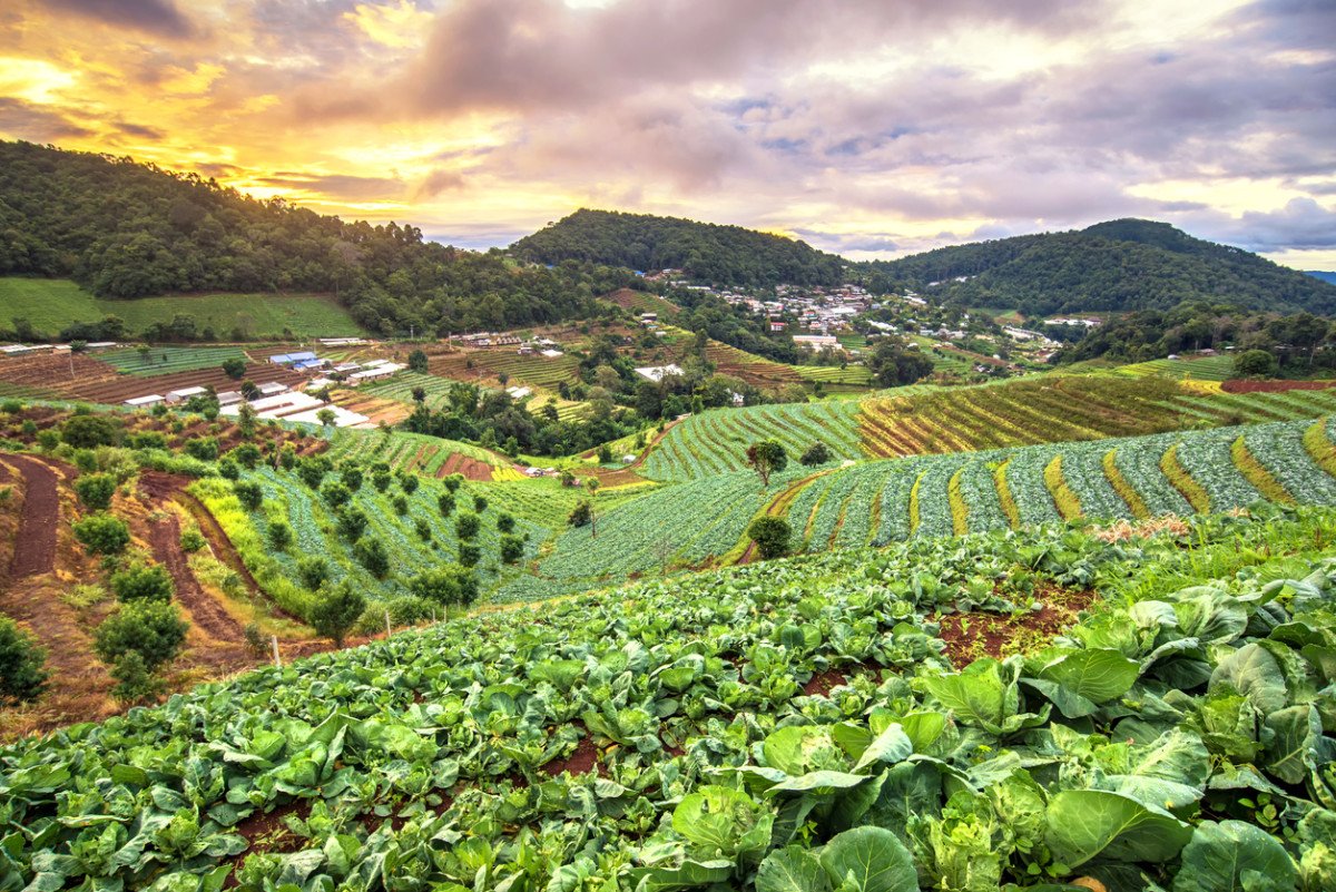 MumararunguDia1's tweet photo. Sustainable agriculture is the best way to feed the world https://t.co/aS5wkuYs3O