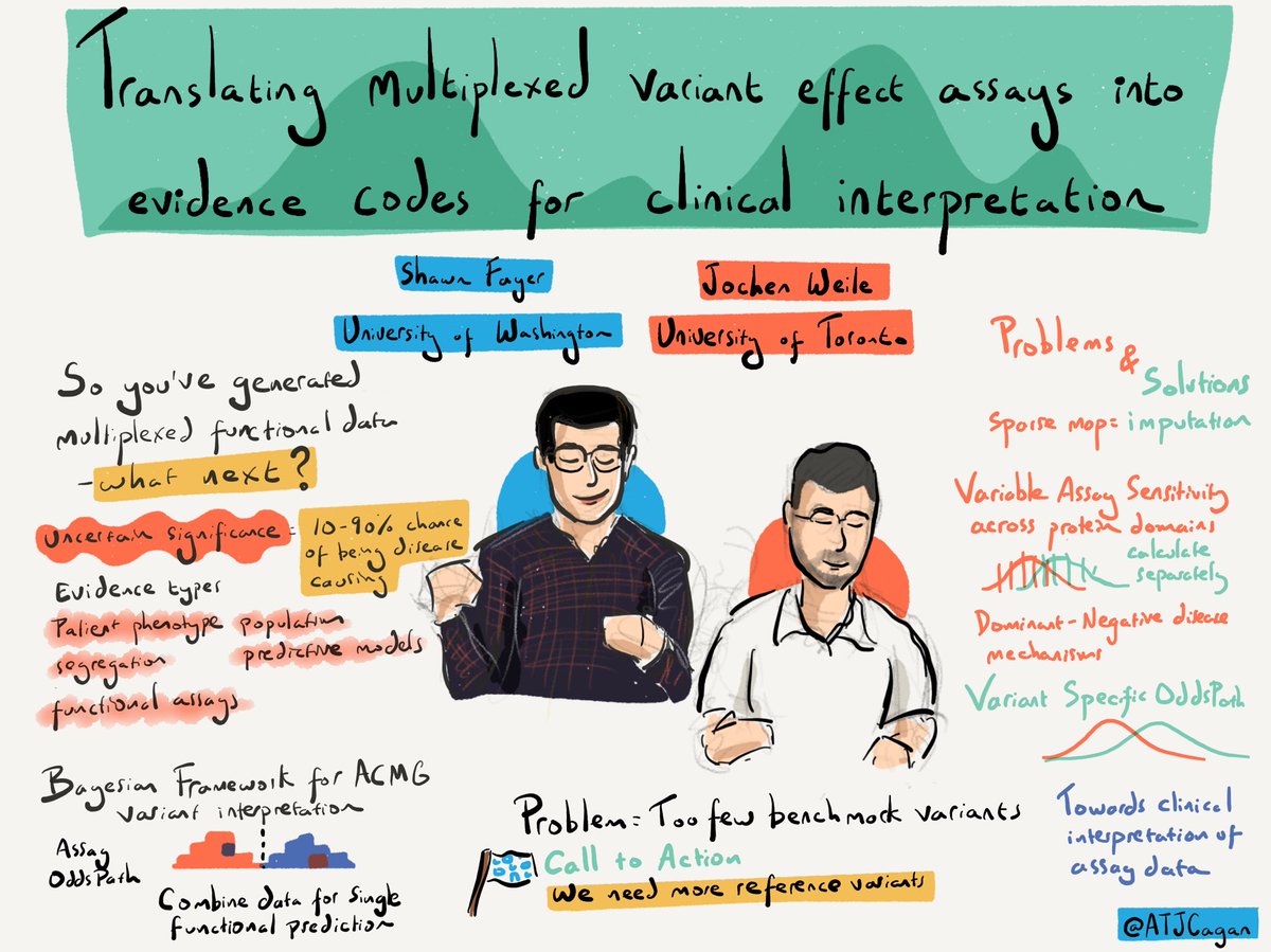 ATJCagan's tweet photo. Shawn Fayer and Jochen Weile on translating multiplexed variant effect assays into evidence codes for clinical interpretation #VariantEffect22 https://t.co/8wYkyAJNiQ