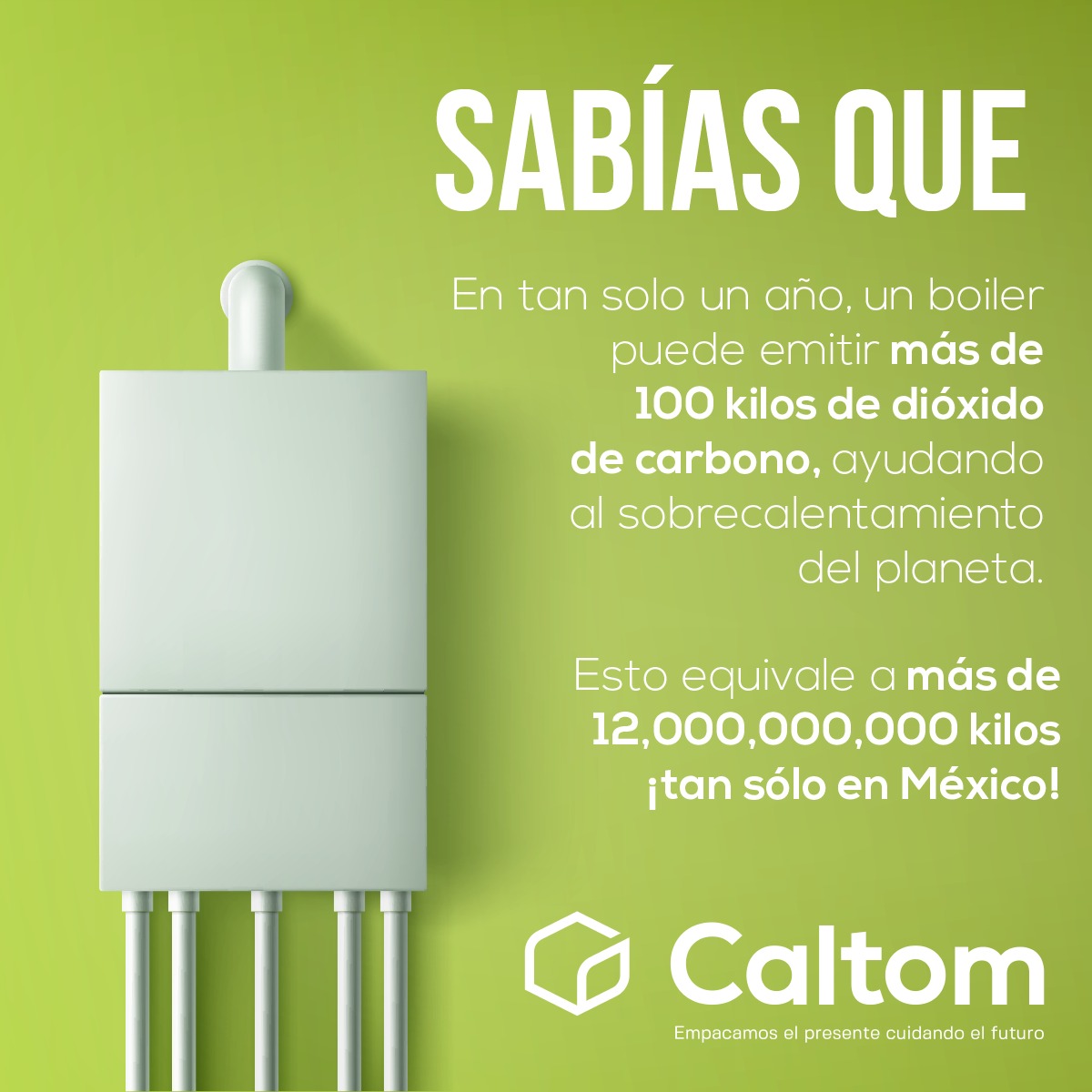 CaltomOfficial's tweet photo. ¿Sabias que? 👀 ¿Lo sabias? https://t.co/LSmf4yNi9N