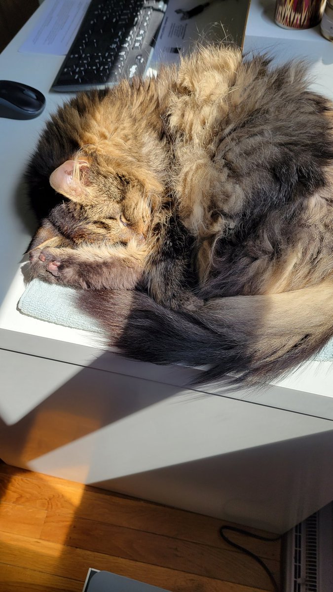 Dr. Sarah Eason tweet media