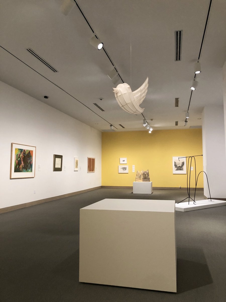 What's on view now?  Beat the heat in the coming days and swing by WAM to view the latest summer exhibitions. Learn more: 
greensboro.com/.../article_b4…...
Image: Gallery photo of the exhibition "Bestiary: Animals as Symbols and Metaphors" on view until December 3, 2022.