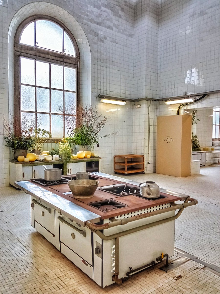 Ana Isabel Escriche tweet media