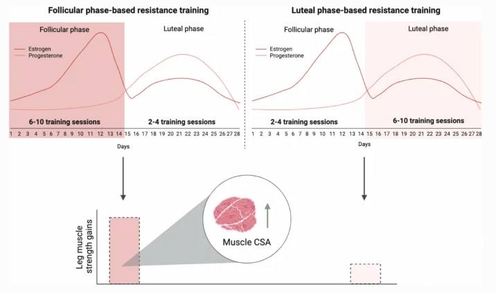 Hannah E. Cabre, PhD, RDN tweet media