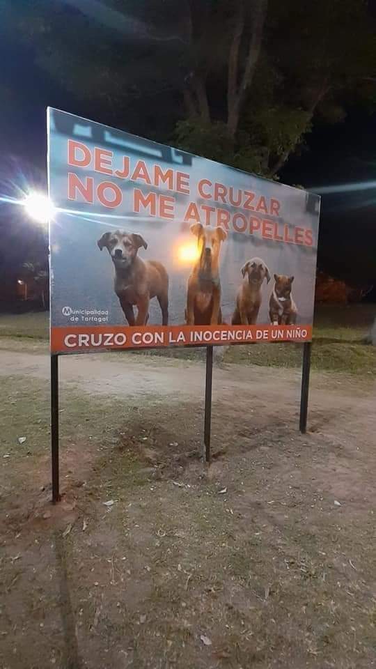 Sabueson's tweet photo. Apoyemos estas peticiones https://t.co/baHtsuDPQV