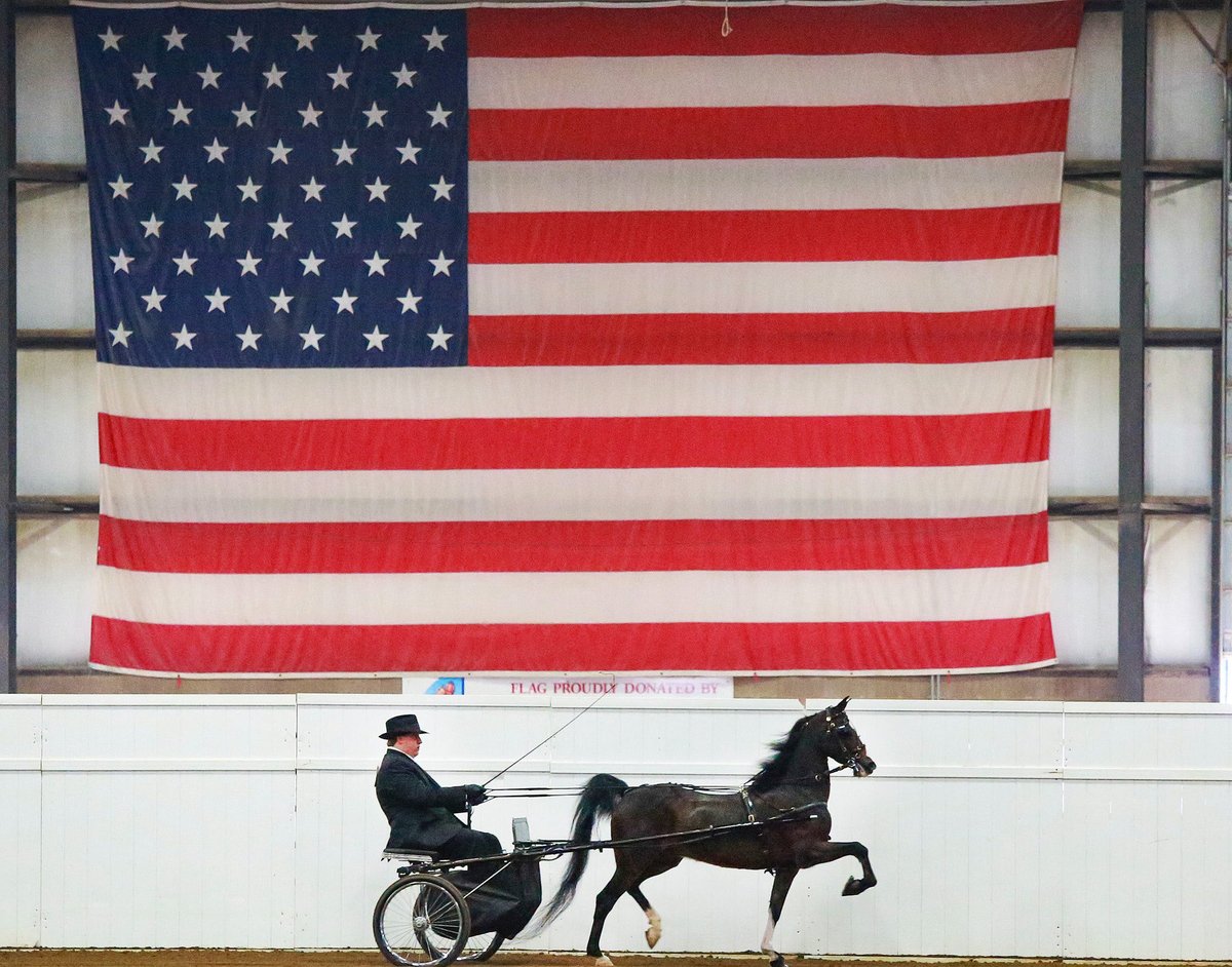 tim_thornberry's tweet photo. Happy Flag Day https://t.co/2NERXWstGr
