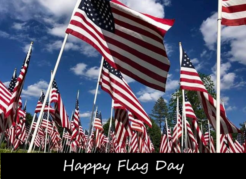 ias_tech's tweet photo. Happy Flag Day everyone from IAS. Go red, white and blue! 🇺🇸🇺🇸 https://t.co/ceMtevpuLJ