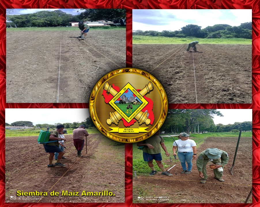 #14JUN22 Cumpliendo con la guía de planeamiento de nuestro CGEB, en pro de la auto sostenibilidad de cada una de las Unidades del Ejército Bolivariano, se llevó a cabo la siembra de una Hectárea de maíz amarillo, para el consumo de esta Unidad Superior. 
#VenezuelaEnKuwait