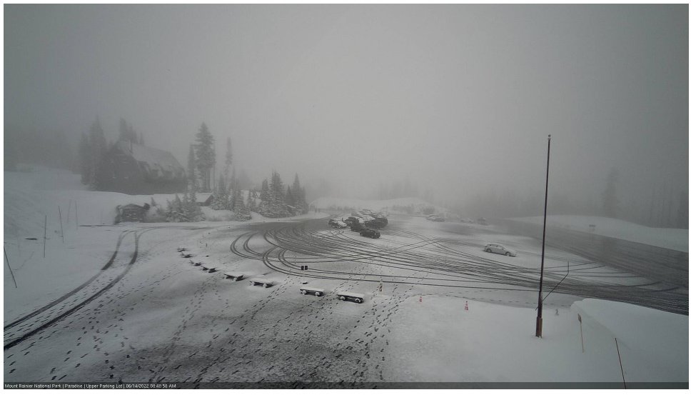 NWSSeattle's tweet photo. Another June day, another day with some snow at Paradise. Based on cameras and observations, it looks like they picked up another 2 or 3" overnight. It is currently 30 degrees with light snow. #wawx https://t.co/XNtrhFlt4x