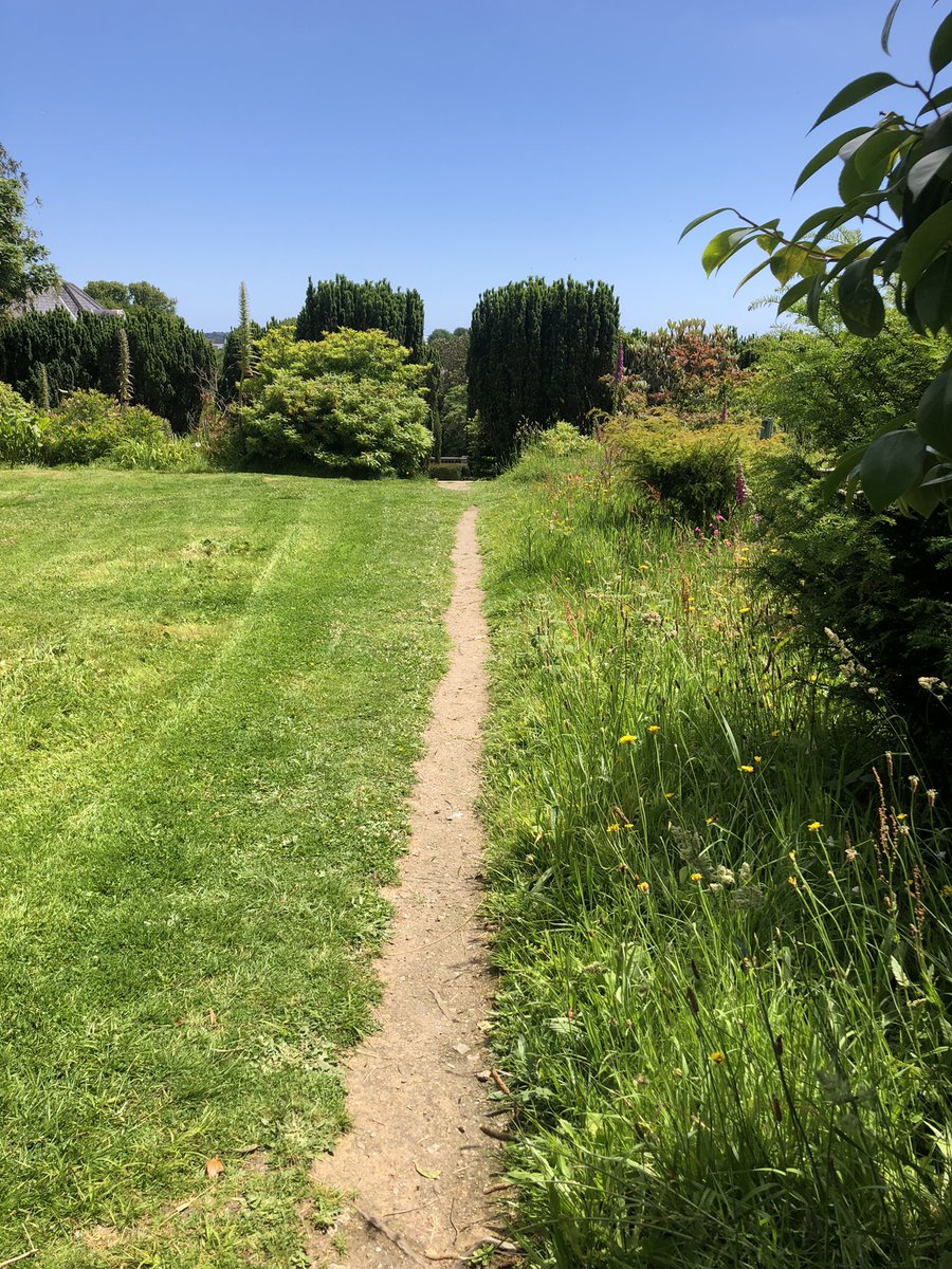 Just minutes before it was mown, the left was as biodiverse and vibrant as the right. 
🐝🦋🌸☘️🌿🌾
Why are @UniExeCornwall not standing by their own supposed principles? This is a university that declared an environment and climate emergency in 2019.