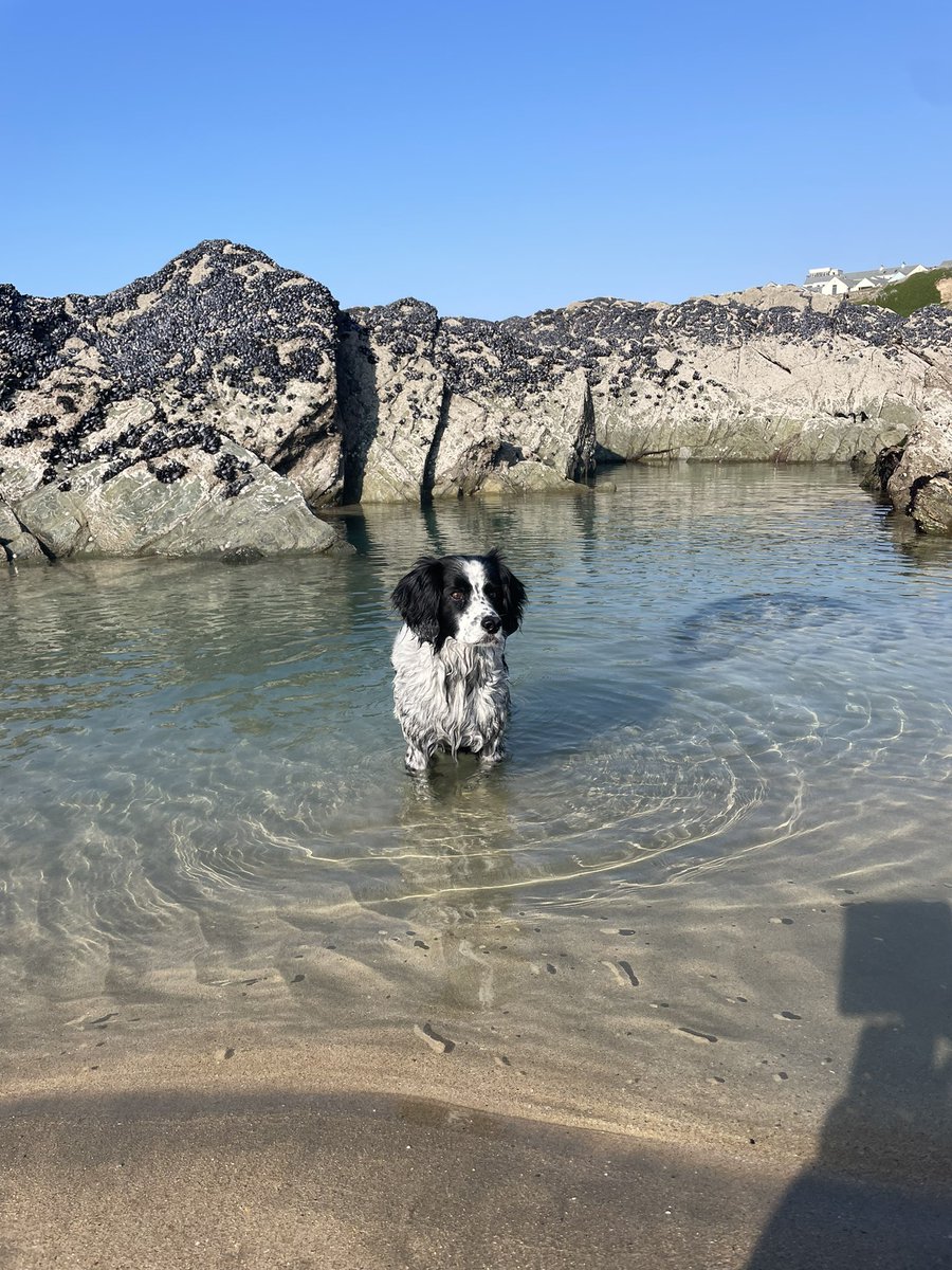 This weekend enjoy the heatwave £25pn
#heatwave #bythesea #newquay #cornwall #weekendgetaway #lastmindeal #guesthouse #hostel #bookdirect #summervibes #sunsetlovers #beach #ocean #chillindog #sandytoes #takeabreak #staycation #surfing #surfers #surfinggirl #surferboy #friendstime
