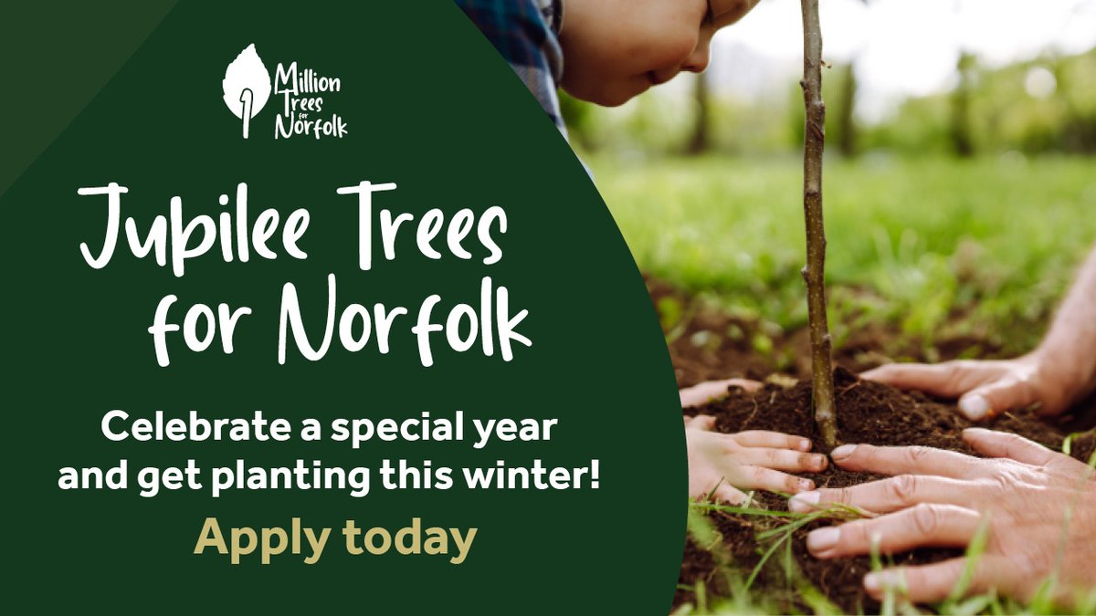 As part of our project to plant 1 million trees in Norfolk we’ve launched a new scheme ‘Jubilee Trees for Norfolk’ to give up to 50% subsidy on the normal cost of tree packs🌱

✅ Apply for your pack today: orlo.uk/3IJVd
#1MillionTreesNorfolk