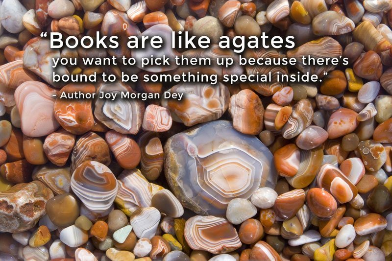 AnokaCoLibrary's tweet photo. What have you "unearthed" so far this summer? Register for #ACLSummerAdventures and log your reading, submit book reviews, and complete fun activities. Win prizes! Details:  https://t.co/9ZfVEGefI1 https://t.co/L83RiyiZsv