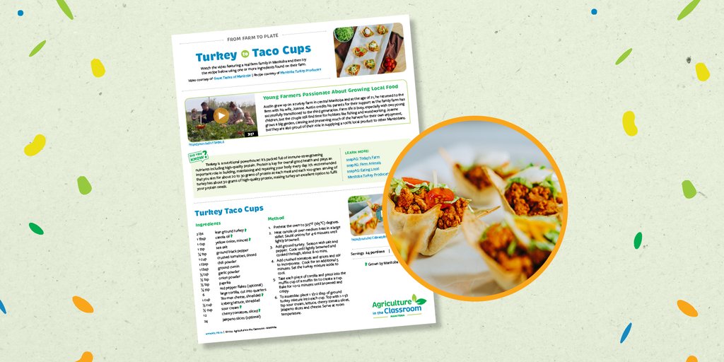 aitcmb's tweet photo. June is Turkey Month in Manitoba! 🦃

It’s also Taco Tuesday, so it’s only appropriate that we would share our #FarmToPlate @GreatTastesMB @manitobaturkey
recipe, Turkey Taco Cups: https://t.co/mtY6o7Uj7z

#TurkeyMonth #OurPartners #MBFarmers https://t.co/2k8fWNvNv5