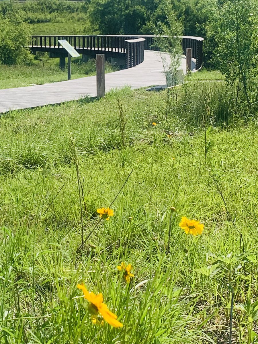 FlaxbeardMark's tweet photo. #ThingsAreLookingUpOmaha! 19th Edition.  “The Circle Walk Over Hells Creek.” Located at Sterling Ridge 132nd and Pacific St. #Omaha #GoOmaha #Happiness #CWSOmaha @Joe_Flax @jaflax @flaxbeer @LaineyFlax @paulflax1 @Jean_Stothert @elonmusk https://t.co/7BAhu0eMxc