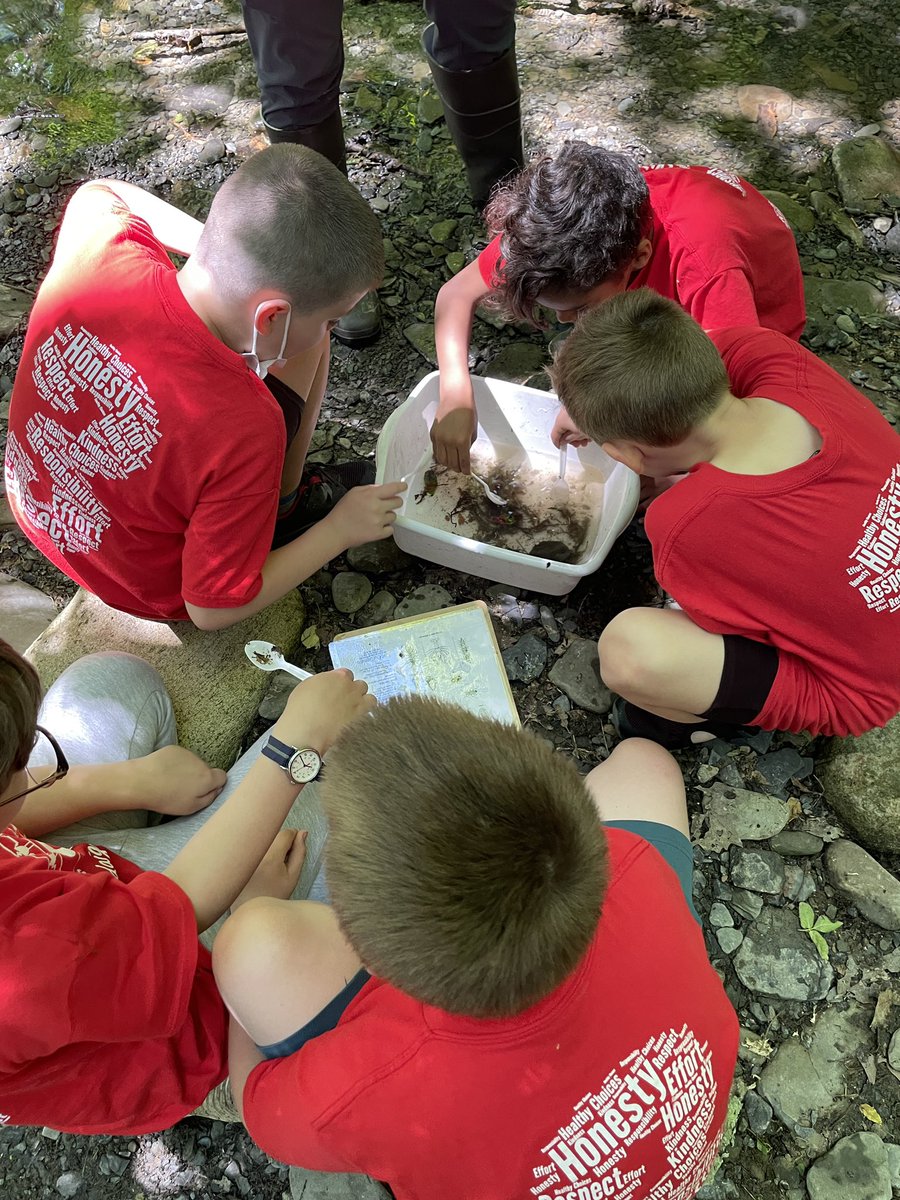 Danielle Heister tweet media