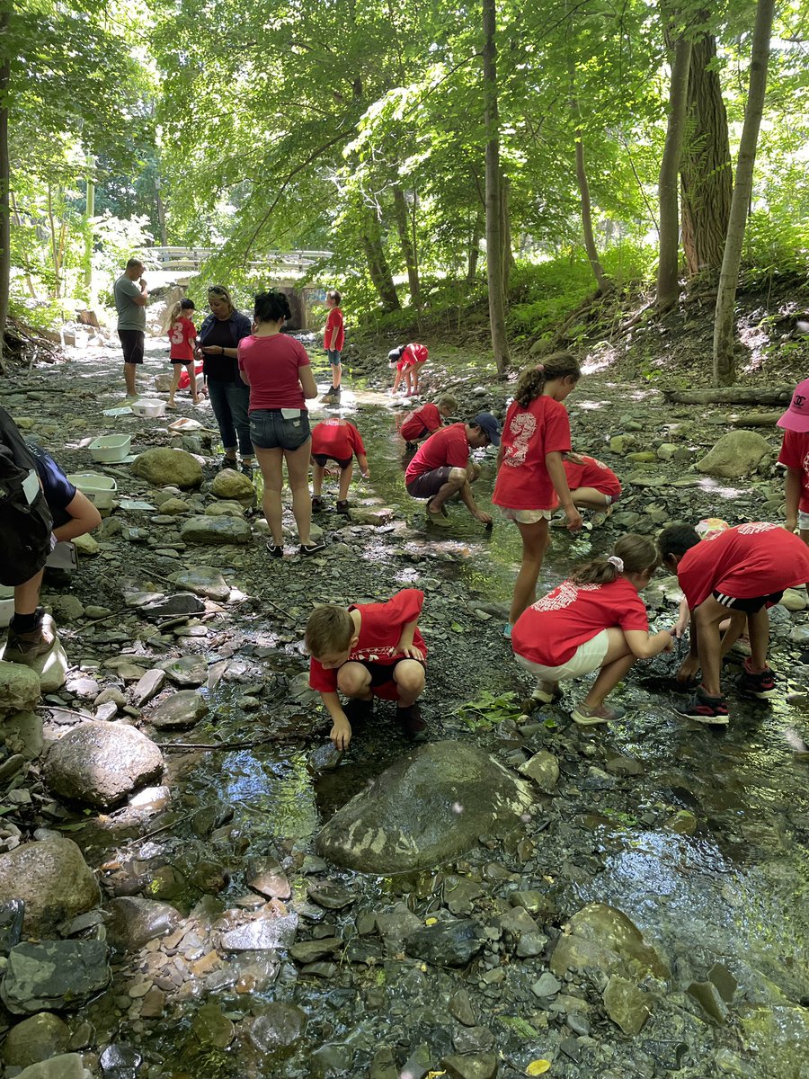 Danielle Heister tweet media