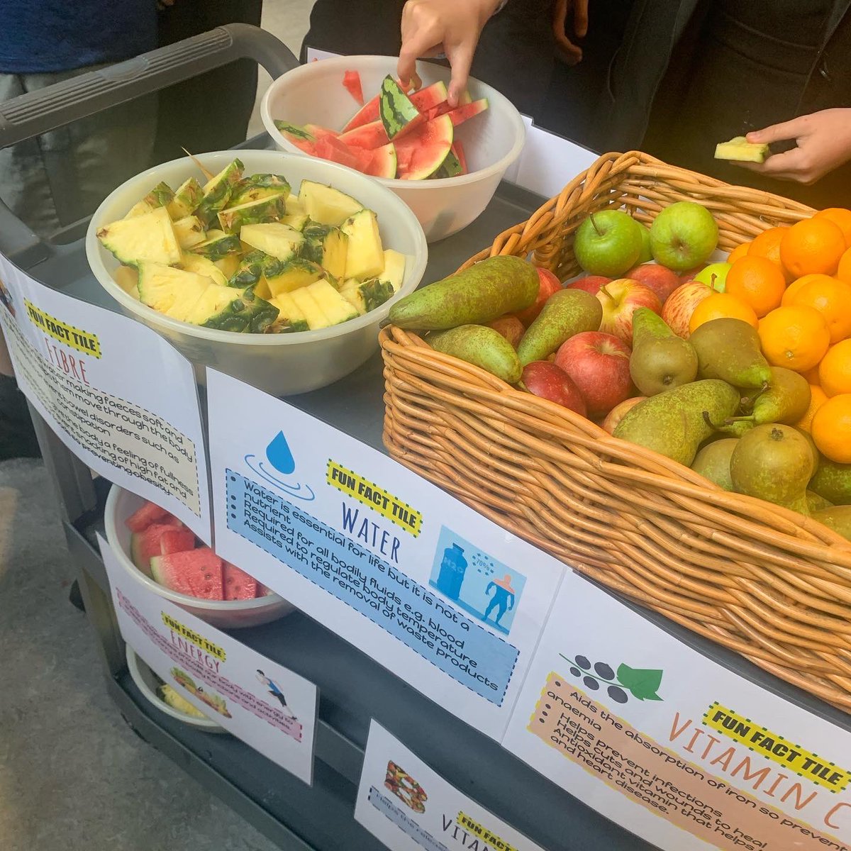 BishopbriggsFCS's tweet photo. It was #TwoforTuesday today. Fruit was handed out at break time to help our pupils to reach their 5 a day 🍓🍉🍌🍏🍇🍊🍋🥝
#justforthehealthofit #healthyeatingweek https://t.co/N7rMyEE1SB