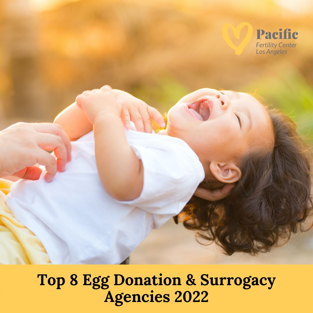 Fertility_PFC's tweet photo. Check out our latest blog highlighting the Top 8 Egg Donation &amp; Surrogacy Agencies in 2022: https://t.co/lg1B6TJ1BF

#surrogacy #eggdonor #ivf #infertilitysupport #infertilitycommunity #1in8 #ttccommunity #ttcjourney #ivfgotthis https://t.co/yio3ozmEdl