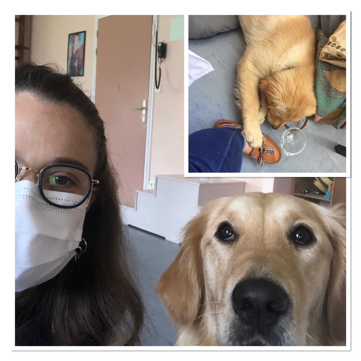 Vit ma vie de #MPR Pédiatrique : ➡️Depuis 1 an j’ai la meilleure partenaire qu’on puisse imaginer à l’#IME : Spoon 🦮✨
↪️C’est extraordinaire à quel point l’examen clinique des jeunes présentant un #Polyhandicap est facile maintenant!