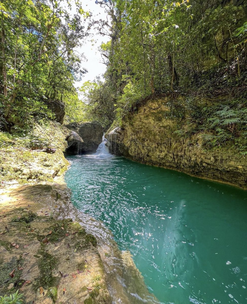 RDPorLoAlto's tweet photo. Estamos comprometidos en dar razones día a día, para sentirnos orgullosos de ser dominicanos. Charco La Novilla, ruta Los Cazadores, Río Partido, Salcedo. #RDPorLoAlto Kendrii https://t.co/VGnFHqsdNE