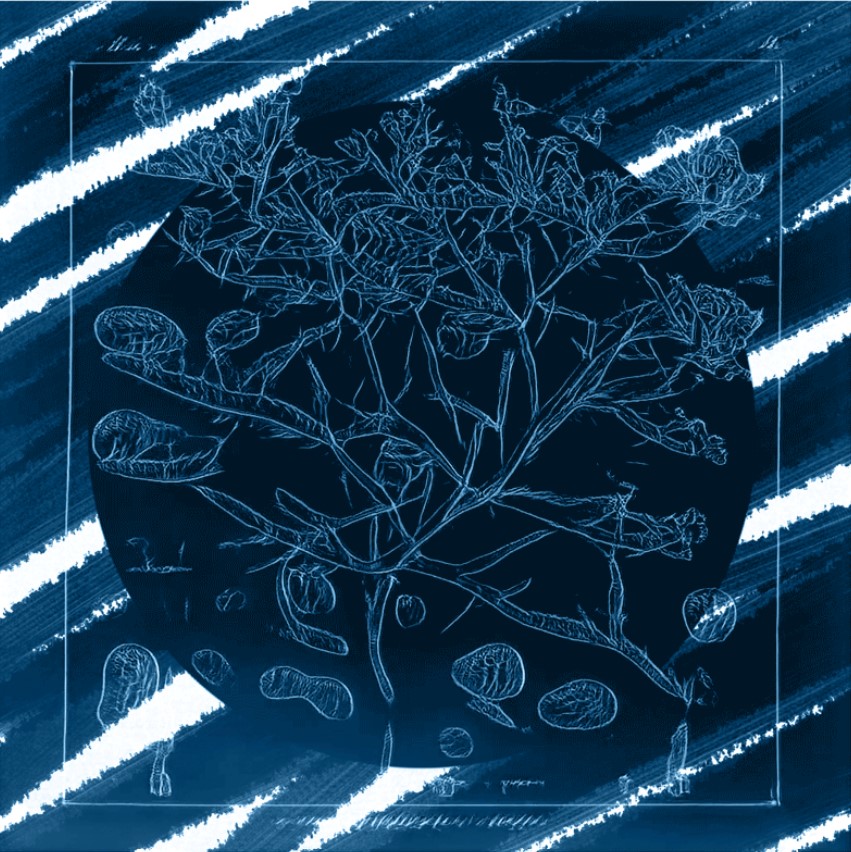 🗣️ ART STORIES 🗣️ 

True fact 👉<a href="/claudslr/">Claudia</a> LOVES collecting old cameras. In fact, she's so keen on photography she turned her downstairs bathroom into a dark room! 📸

Her story:
knownorigin.io/claudia

Her upcoming 🔥Drop:
knownorigin.io/gallery/134290…