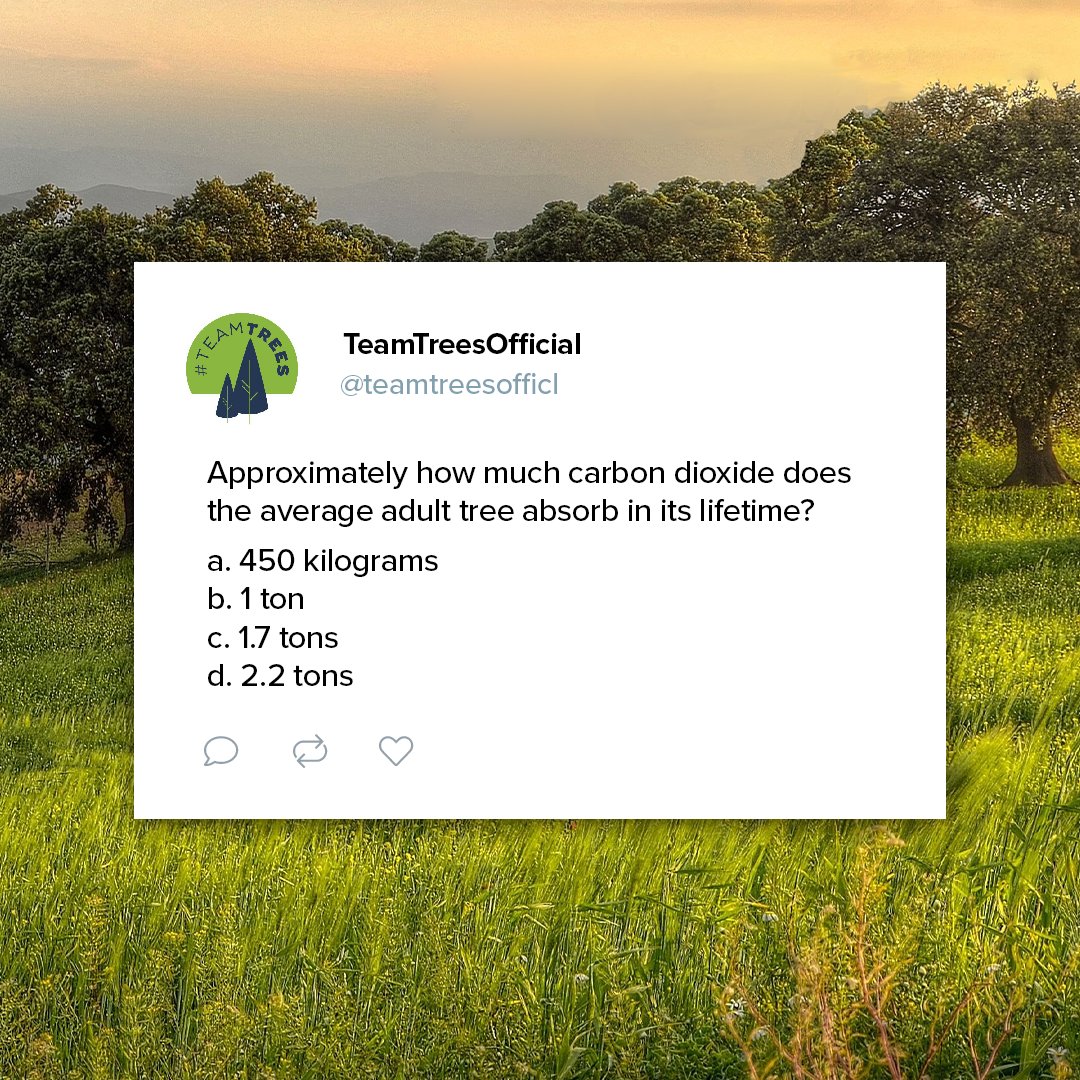 teamtreesofficl's tweet image. Coming at you with another #TreeFactTuesday! 

Do you know the answer, #TEAMTREES? 

Drop your guess in the comments and stay tuned to find out tomorrow! 👀