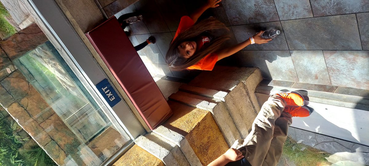 Landis CIA tweet media